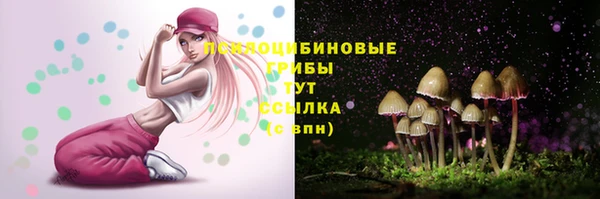 соль ск Абдулино