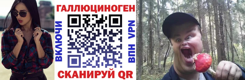 Псилоцибиновые грибы Magic Shrooms  MEGA как зайти  Кяхта  продажа наркотиков 